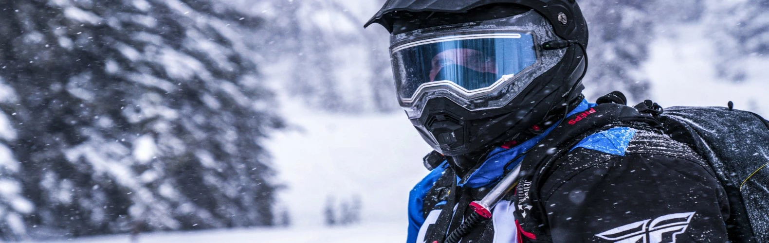 Scorpion Shop -Scorpion Shop Scorpion1580